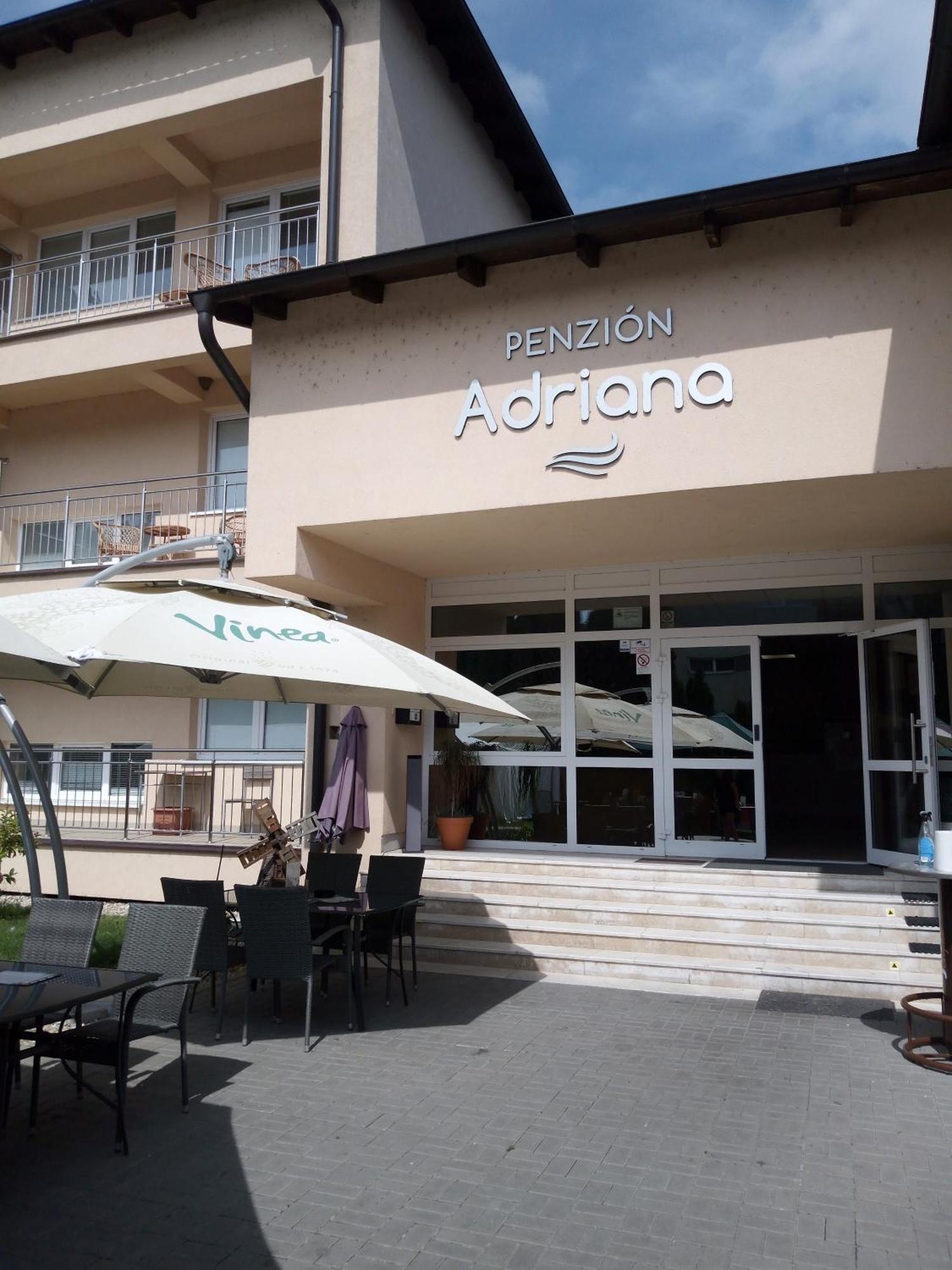 Penzion Adriana Nové Mesto nad Váhom 外观 照片