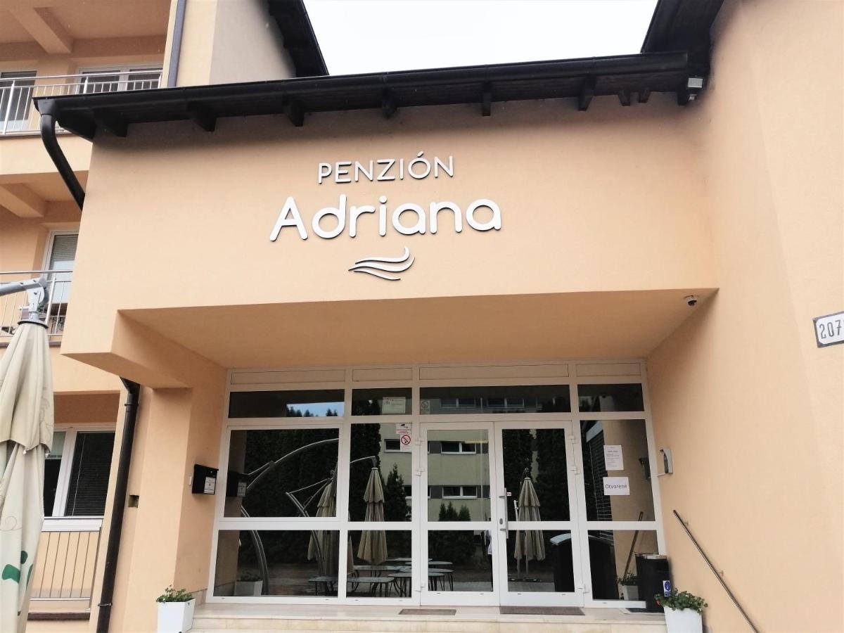 Penzion Adriana Nové Mesto nad Váhom 外观 照片