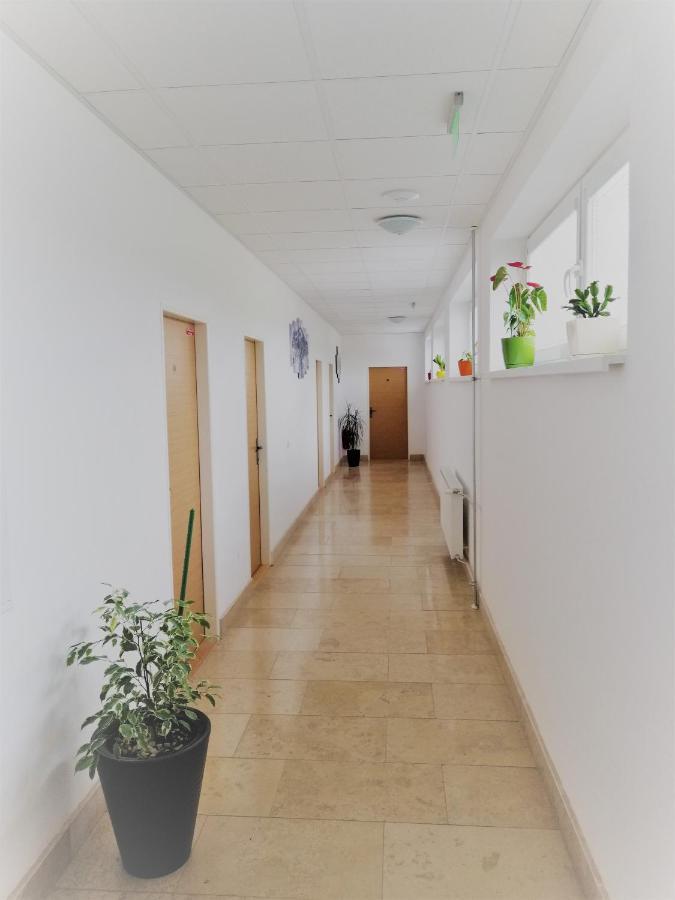 Penzion Adriana Nové Mesto nad Váhom 外观 照片