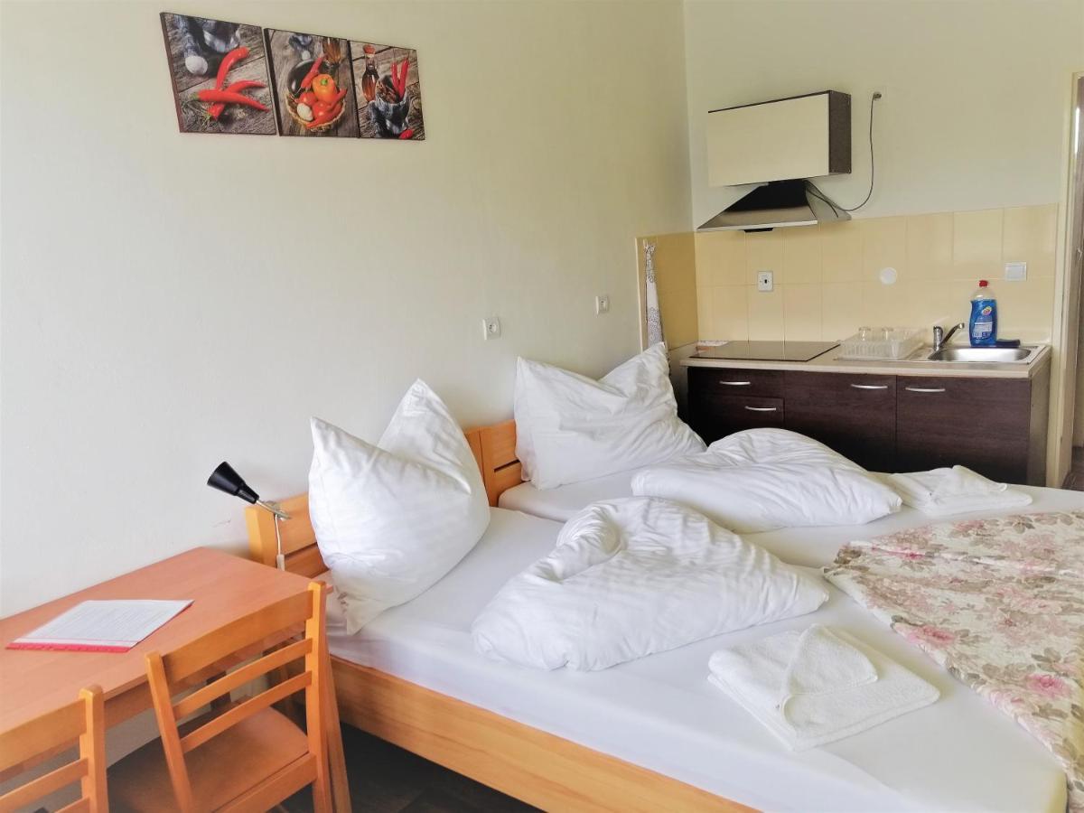 Penzion Adriana Nové Mesto nad Váhom 外观 照片